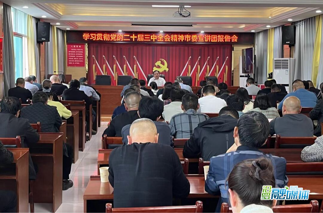 吴艳平到桃林寺镇宣讲党的二十届三中全会精神