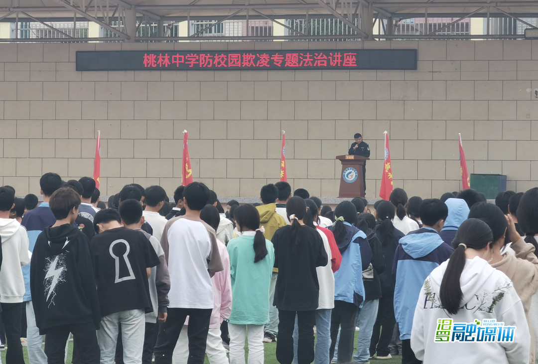 护航成长 桃林寺派出所开展法治进校园宣讲活动