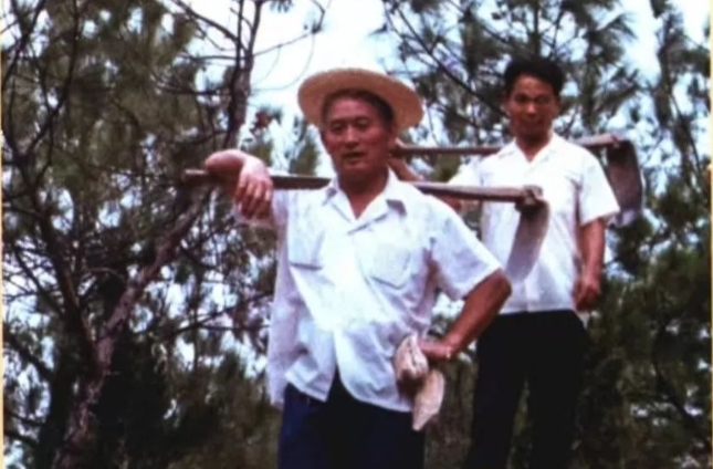 【榜样人物】 ① 焦裕禄式的干部：汨罗老书记彭亮根（中）