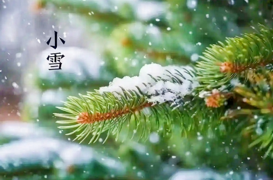 小雪到 汨罗中医专家建议：冬日饮食应以养阴润燥为主
