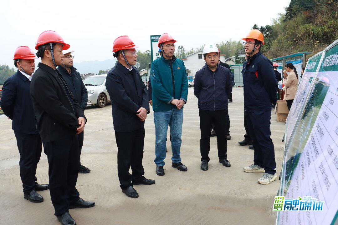 岳阳市委常委、常务副市长李建华来汨罗督导经济运行和重点项目建设工作