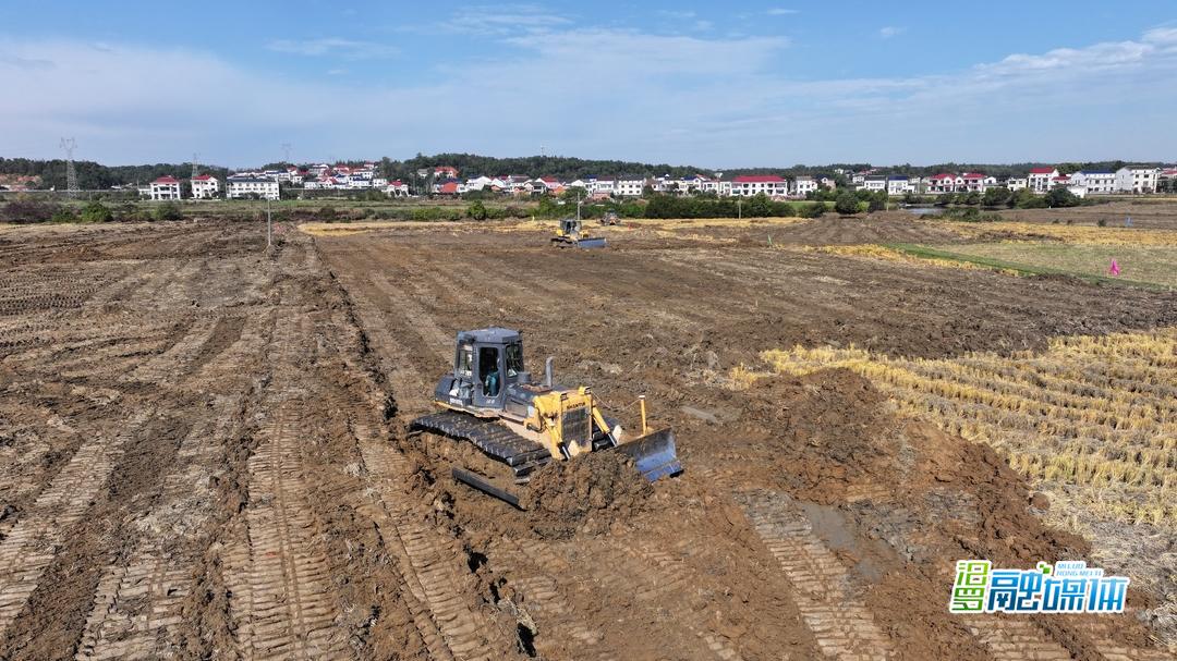 绘制田间“新图景”！汨罗高标准农田建设正酣
