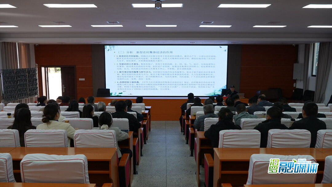 课程丰富 收获颇丰！他们从河南来到汨罗