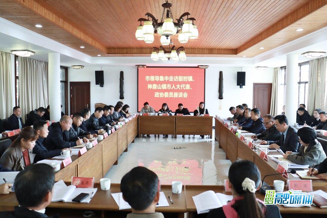 林恒求带队集中走访弼时镇神鼎山镇市人大代表和政协委员