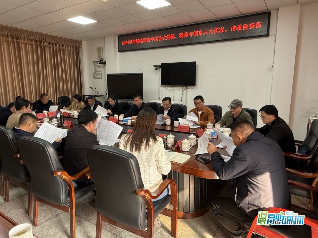 市领导集中走访大荆镇桃林寺镇人大代表和政协委员