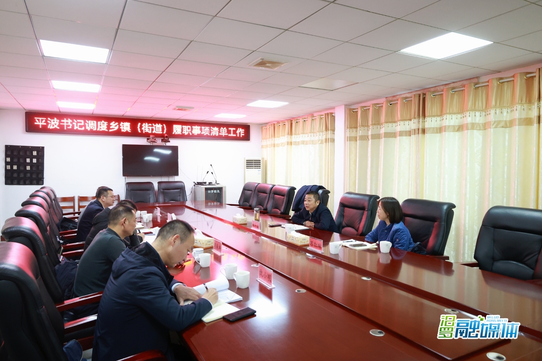 朱平波专题调度乡镇（街道）履职事项清单工作
