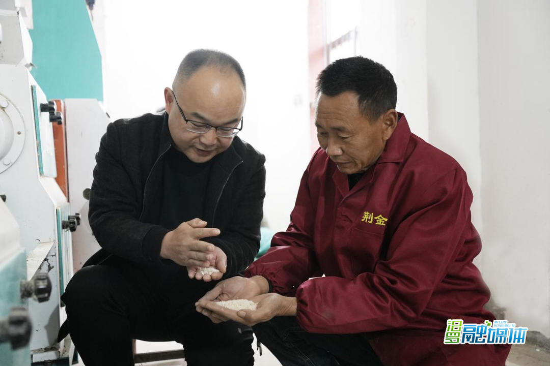 优秀人大代表丨陈琳：扎根乡村兴产业 热心公益惠民生