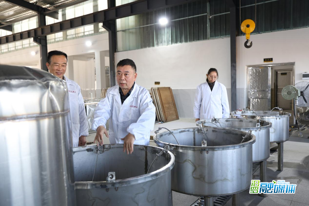 优秀人大代表丨杨建鹏：返乡创业“追梦者” 群众致富“引路人”