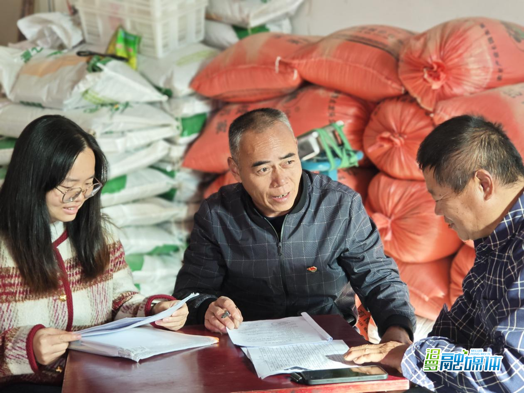 优秀人大代表丨杨树桃：当好群众“代言人” 走好乡村“富裕路”