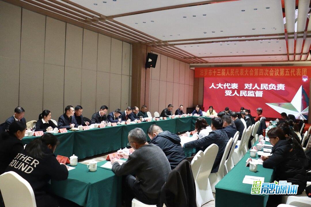 聚焦两会丨林恒求参加人大第四、第五代表团讨论