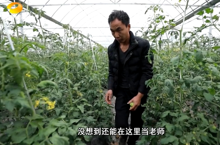 【湖南经视】经视观察20241208期