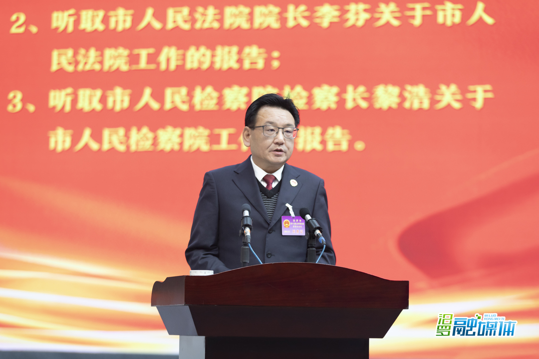 聚焦两会丨黎浩作市人民检察院工作报告