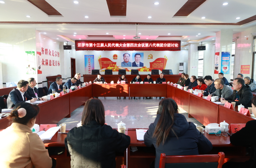 聚焦两会丨人大代表分团审议市人大常委会工作报告和法检“两院”工作报告