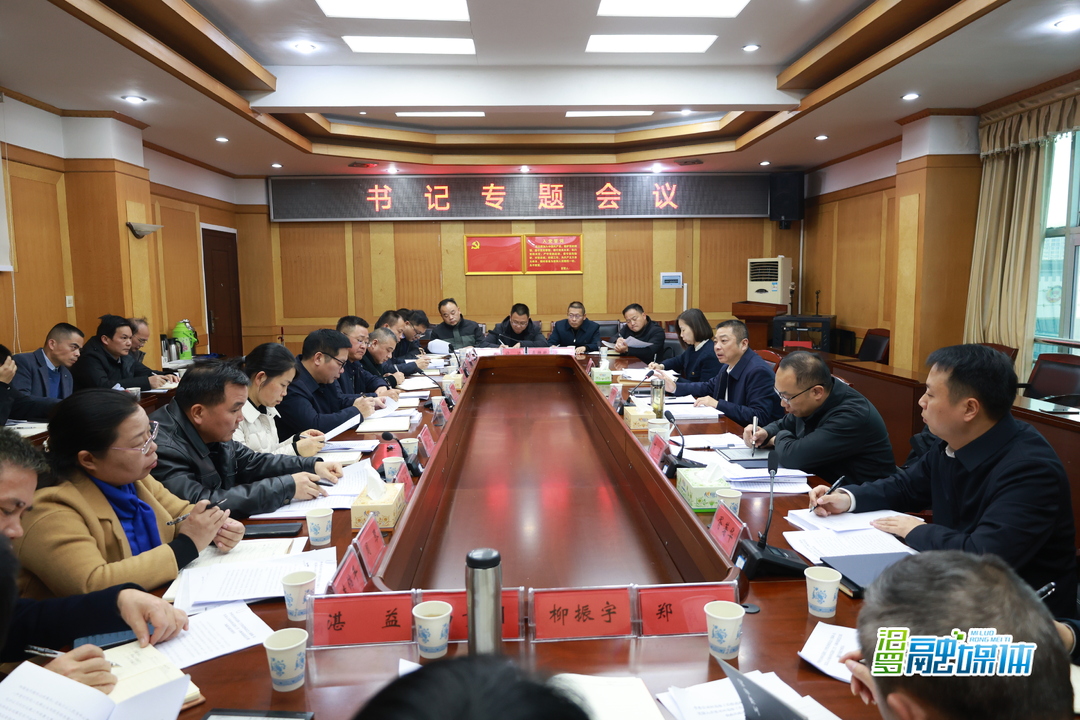 朱平波主持召开书记专题会议，调度巡察整改工作