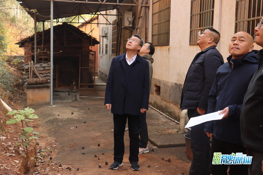 岳阳市自然资源和规划局来汨罗督查地质灾害隐患全面核查工作