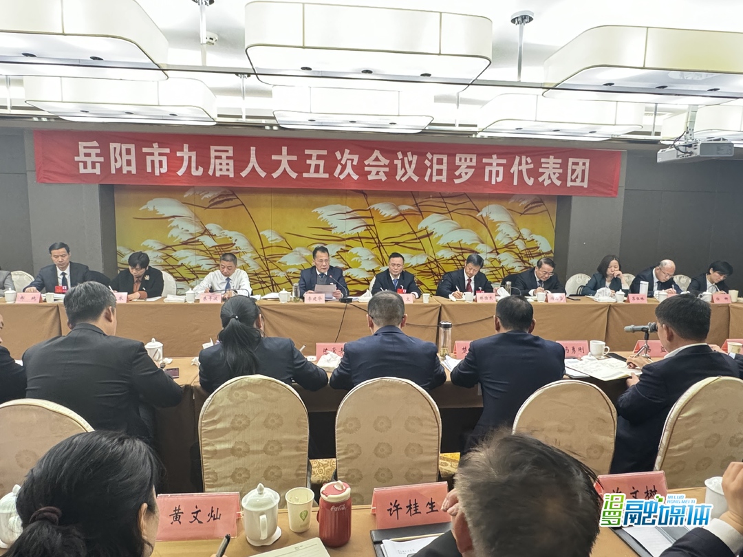 李建华参加市九届人大五次会议汨罗市代表团审议