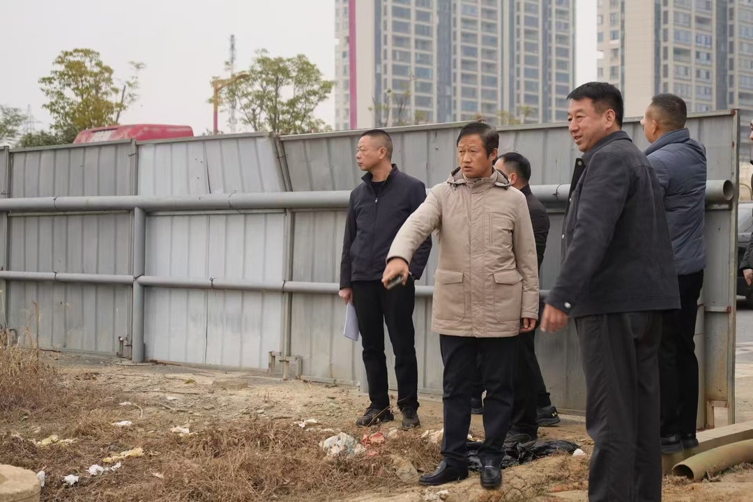 林恒求专题调研城建工作