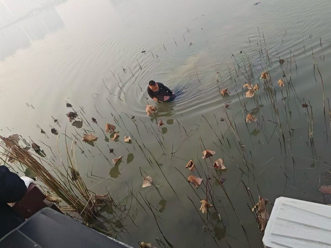 毫不迟疑！他们跳进冰冷刺骨湖水中营救落水老人