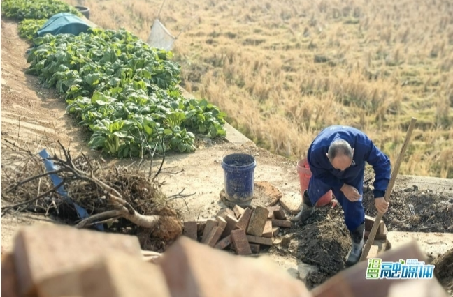 【新湖南】汨罗屈子祠村：村组公路“重生”，秀美屋场同步诞生中