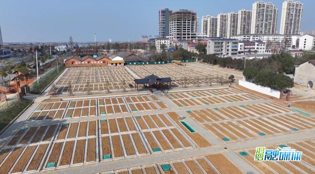 “我的菜地我做主”！瞭家山社区共享趣菜园正在认领中