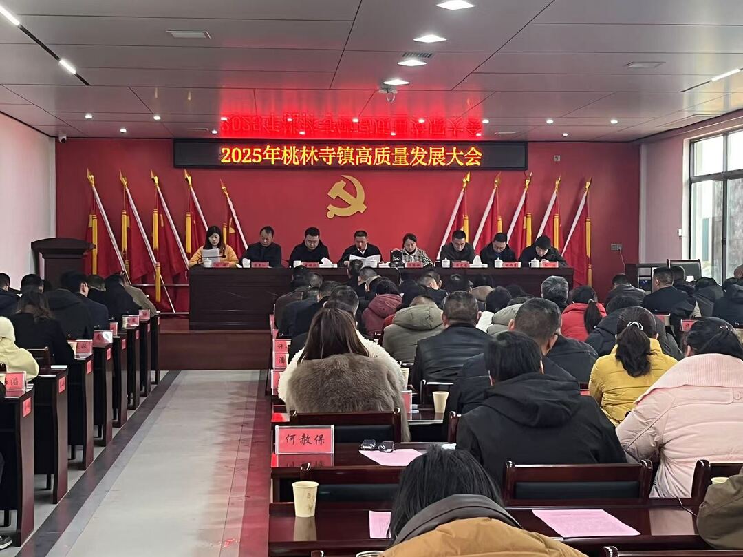 开春第一会擂战鼓 桃林寺镇蓝图这样谋划