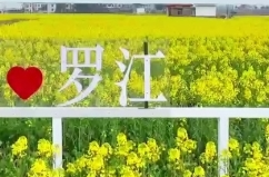 【学习强国】相约2025·共赴旅发盛会：准备好迎接汨罗的春天了吗？