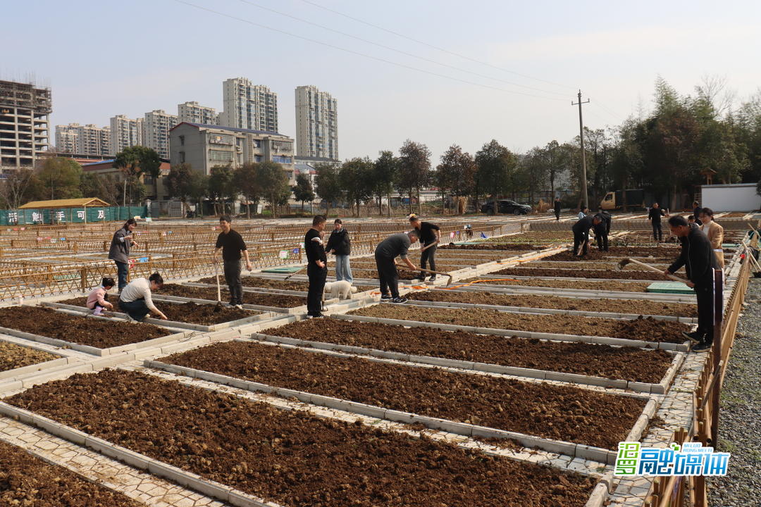 汨罗瞭家山社区共享趣菜园开园，市民开启田园生活新体验