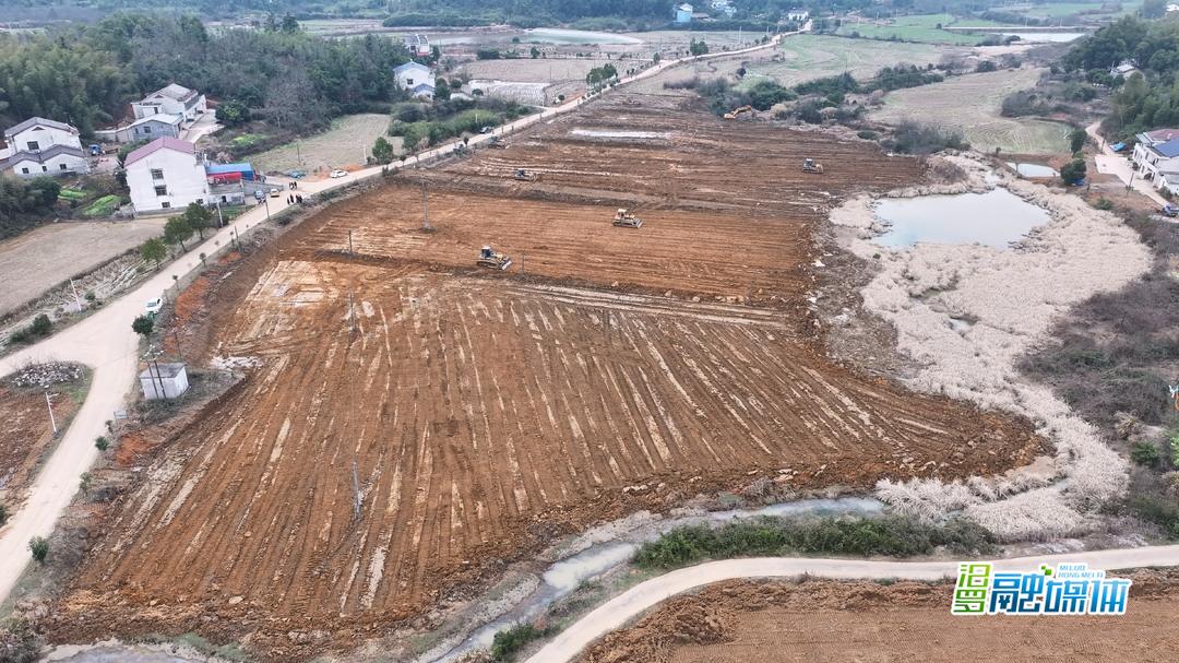 春耕备耕正当时！汨罗高标准农田建设按下“快进键”