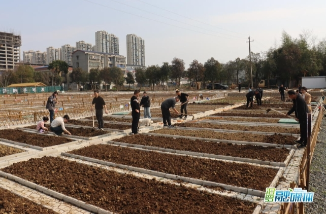 【新湖南】汨罗瞭家山社区共享趣菜园开园，市民开启田园生活新体验
