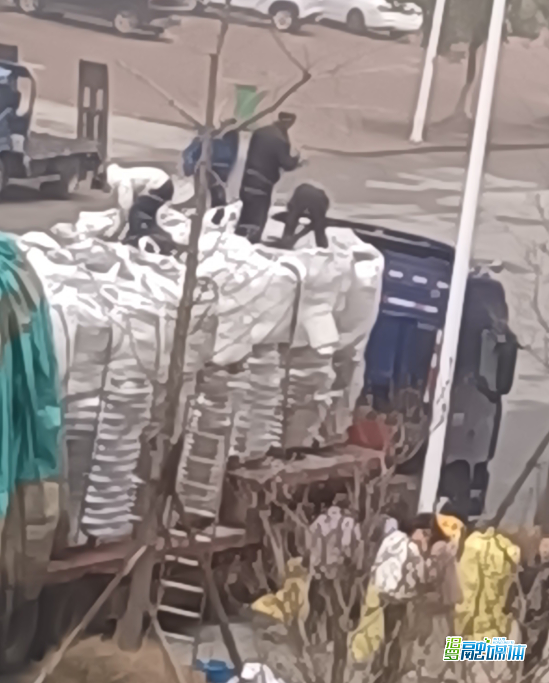 “硕鼠”被抓，挽损20万！汨罗警方快速破获一起涉企盗窃案