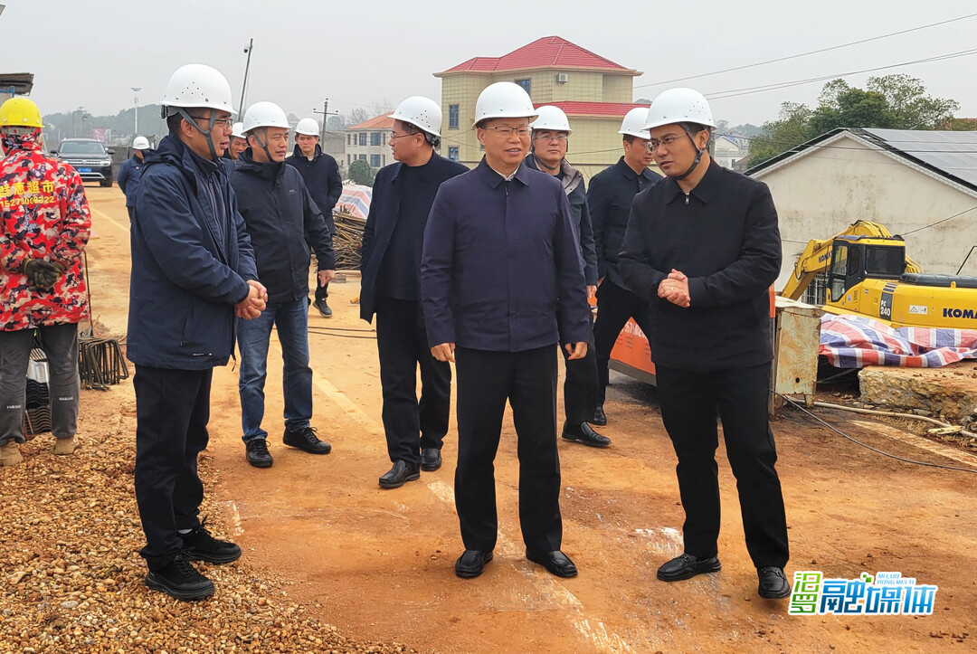 岳阳市副市长陈阁辉来汨罗调研水利工程建设情况