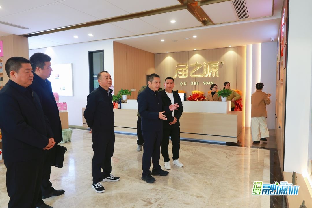 朱平波到“屈之源”公司调研汨罗粽子产业