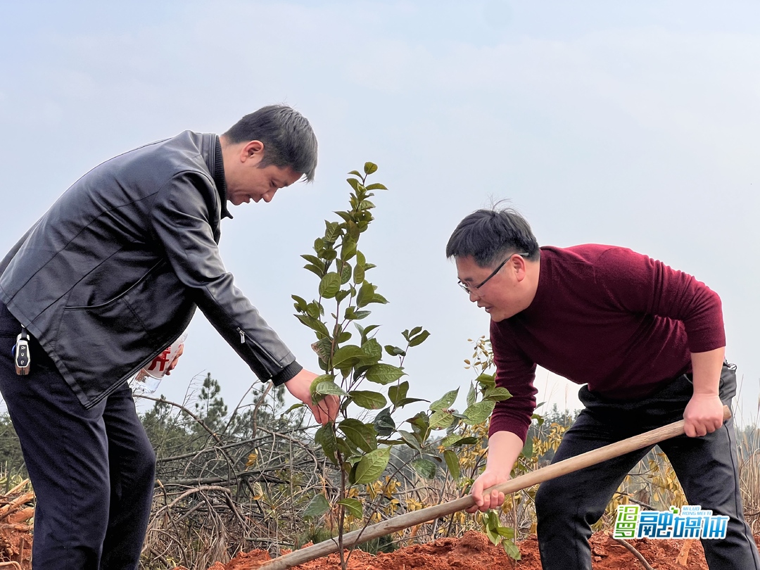 长乐镇开展义务植树活动