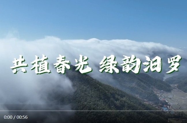 【学习强国】百灵丨共植春光 绿韵汨罗