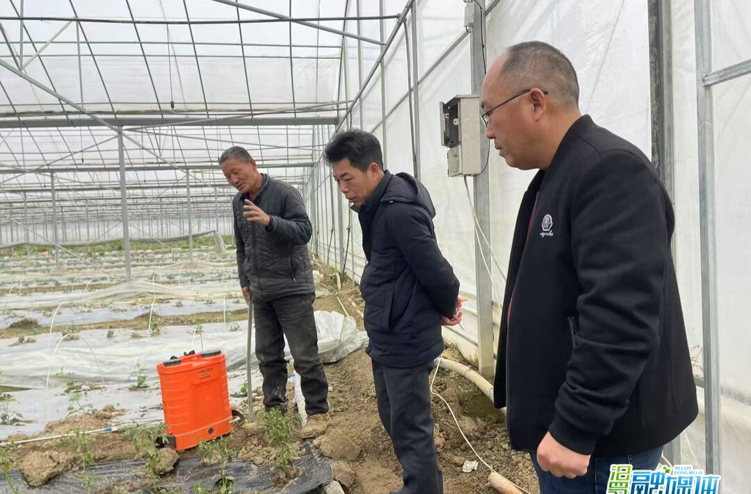 汨罗：实训观摩 着力提升主要农作物大面积单产水平