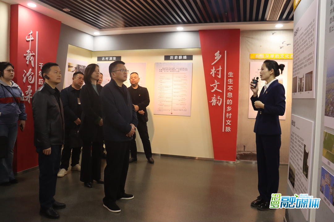 岳阳市全国红色美丽村庄建设“比学研行”活动在汨罗石仑山村举行