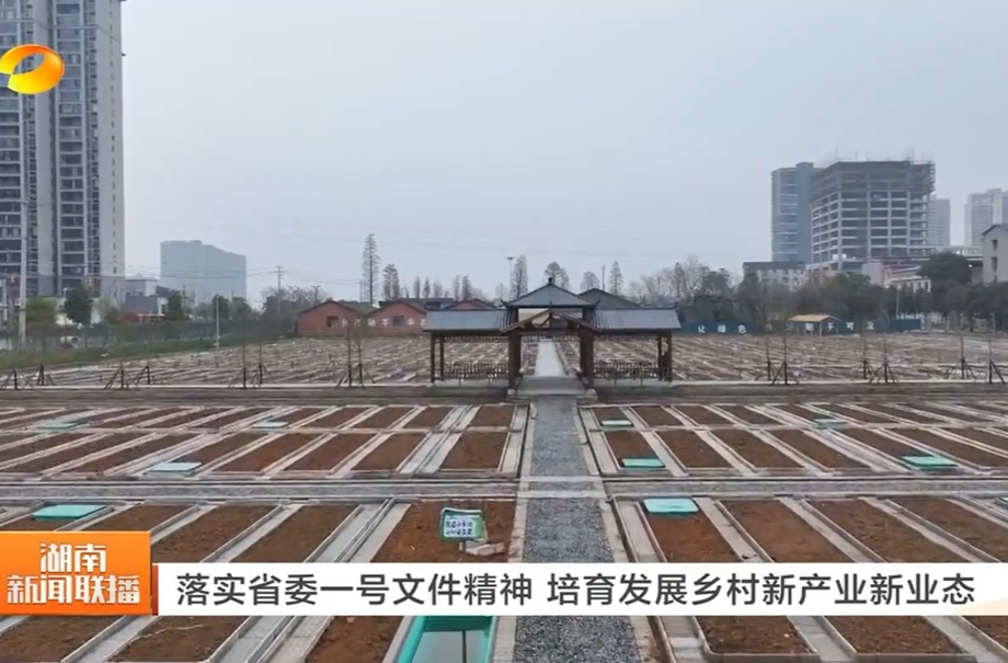 【湖南卫视】落实省委一号文件精神 培育发展乡村新产业新业态