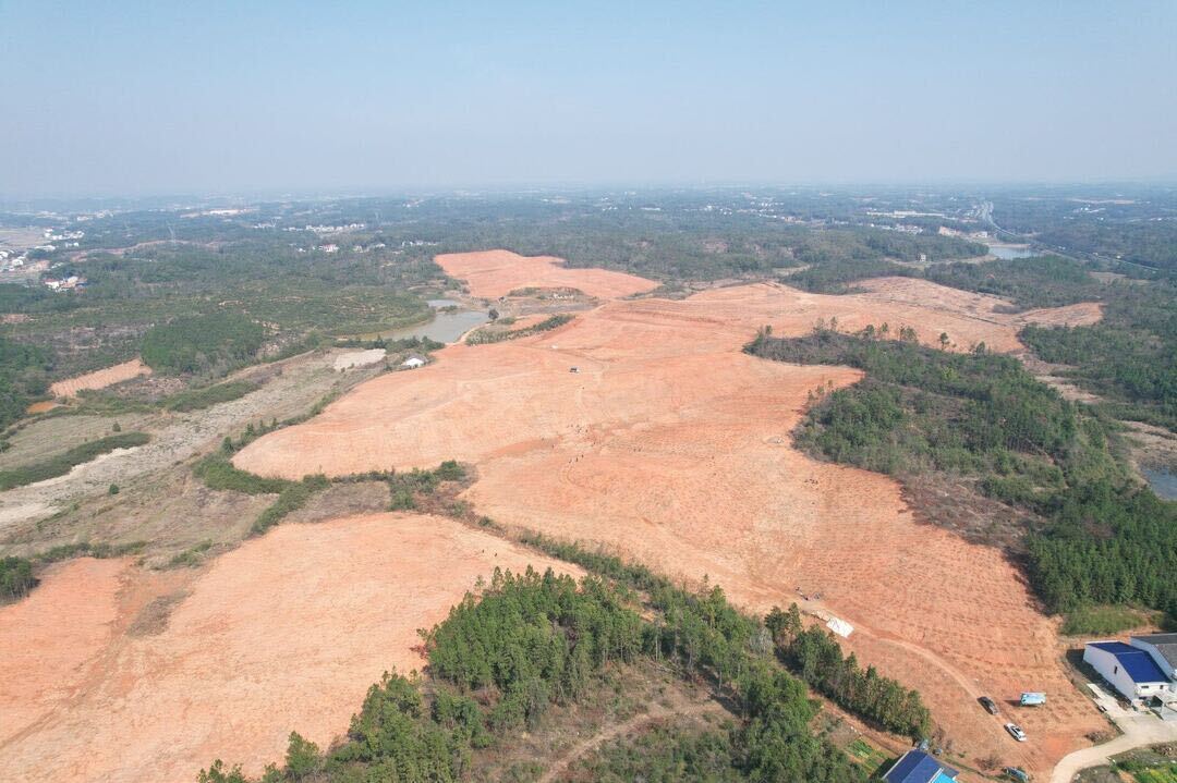 罗江镇：天井又添景，青山变金山