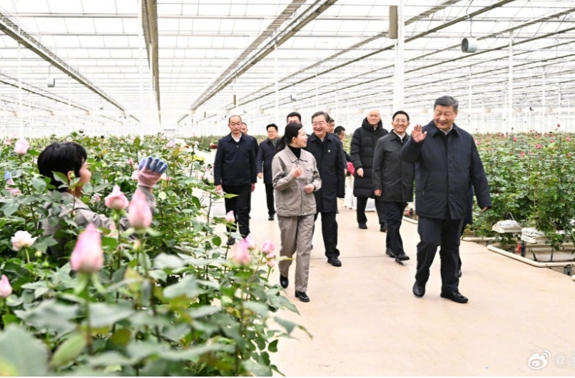习近平：祝你们的生活像花儿一样美！