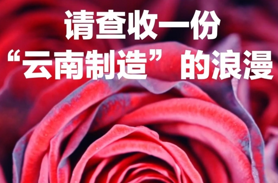 一眼心动的中国｜请查收一份“云南制造”的浪漫