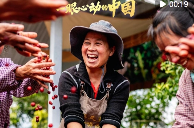 一眼心动的中国｜来一杯云南小粒咖啡