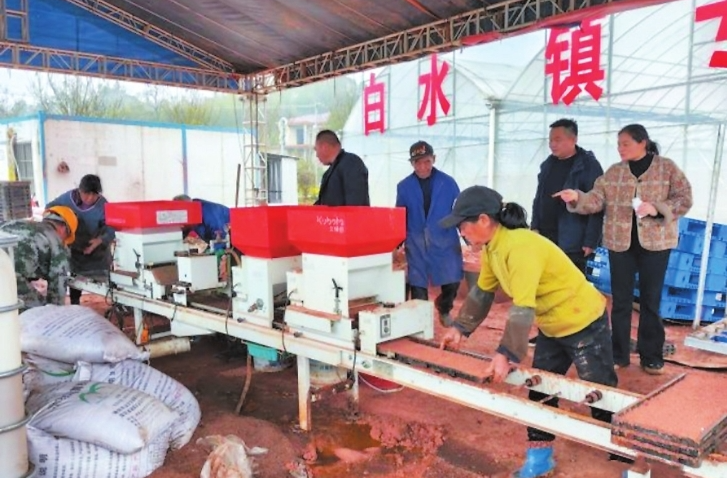 【学习强国】区县新闻丨汨罗市：全力铺就丰收底色