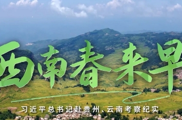 时政微纪录丨西南春来早——习近平总书记赴贵州、云南考察纪实