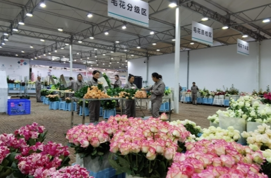 时政新闻眼丨云南如何开创发展新局面，习近平强调这些着力点