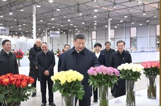 金色相框｜习近平在云南考察