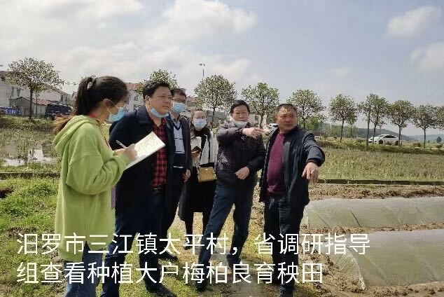 智库专家（一）｜田野上的使者！周其林与汨罗乡村振兴的双向奔赴