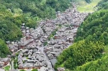 壹视界·微视频｜幸福生活，像花儿一样绽放