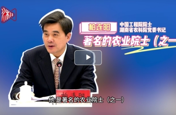 跟着院士去种地｜一粒稻种的“觉醒”