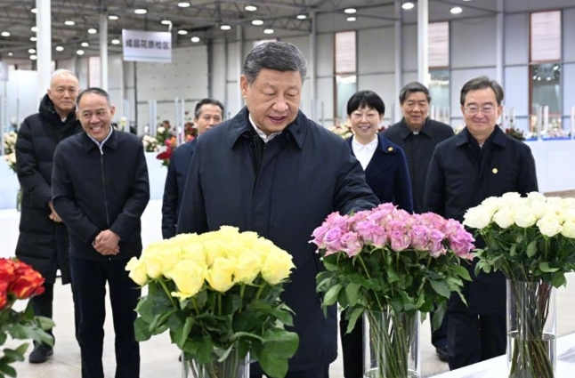 时政微观察丨生活像花儿一样美