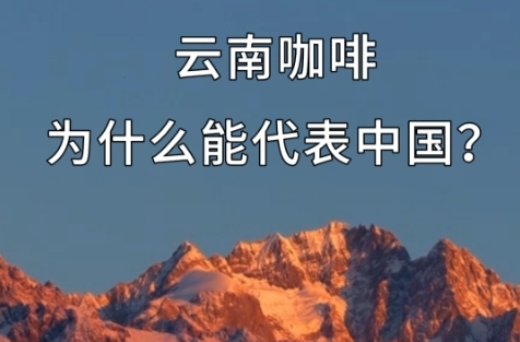 微视频丨习近平：“云南咖啡还是代表着中国的”